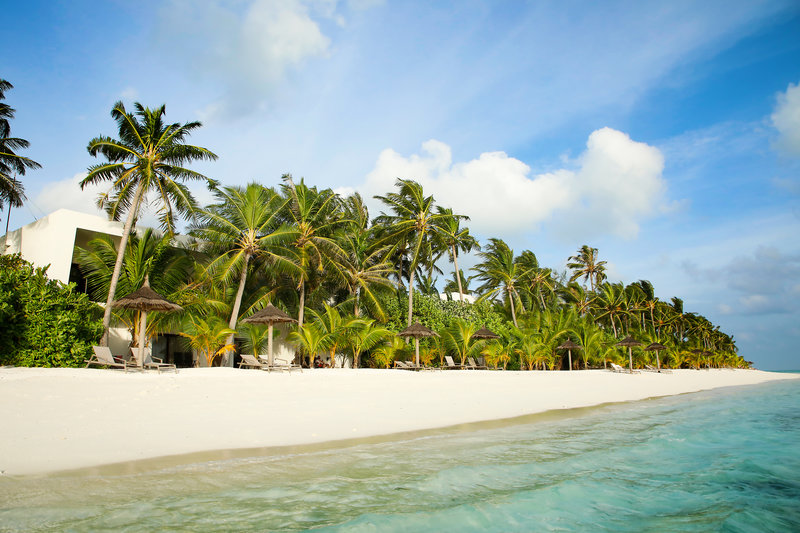 Hotel Riu Palace Maldivas 2