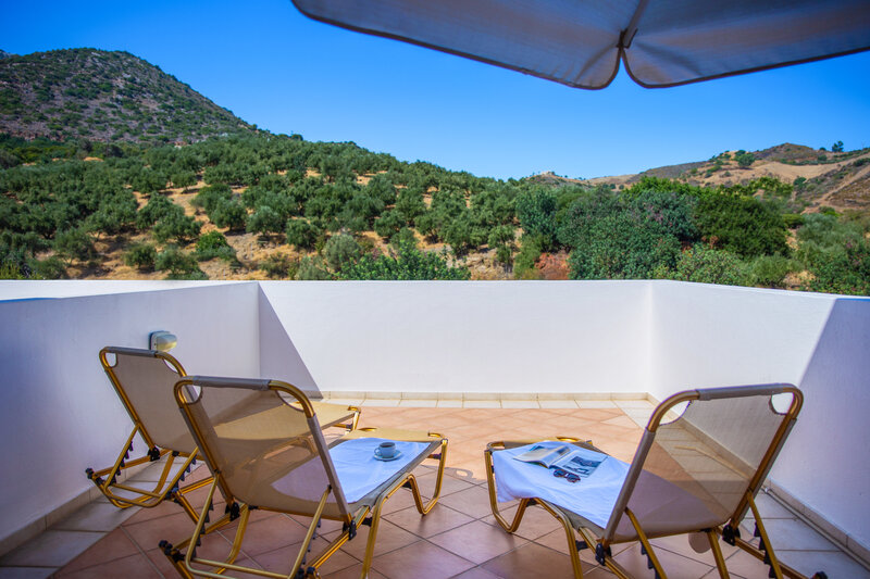 Xidas Garden 18