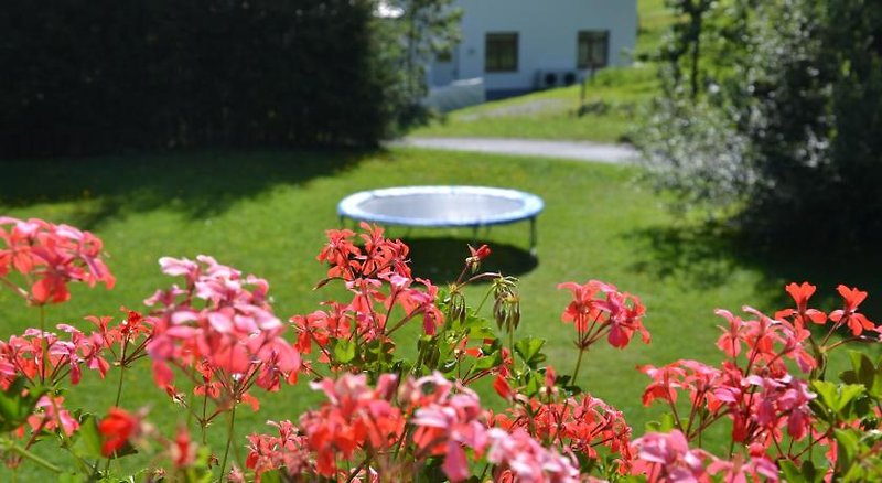 Holiday Appartements 4