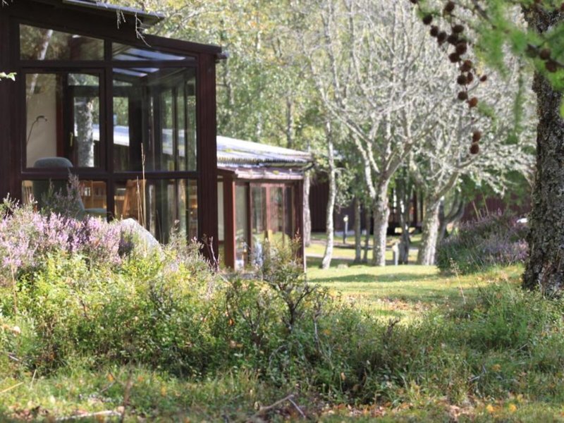 Macdonald Lochanhully Woodland Club 1