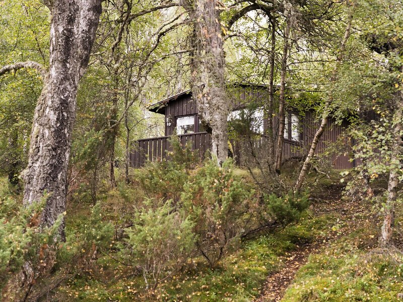 Macdonald Lochanhully Woodland Club 2