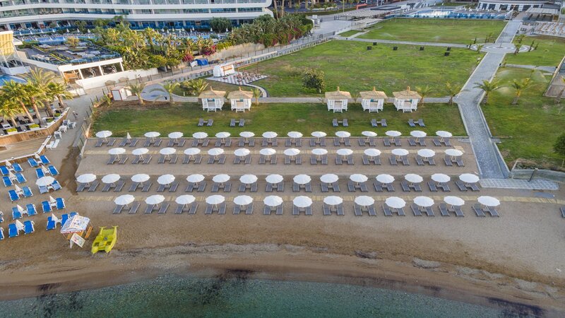 Lonicera Premium 5