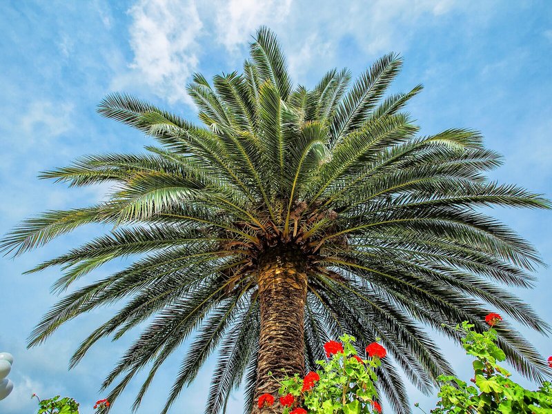 Xenios Port Marina 5