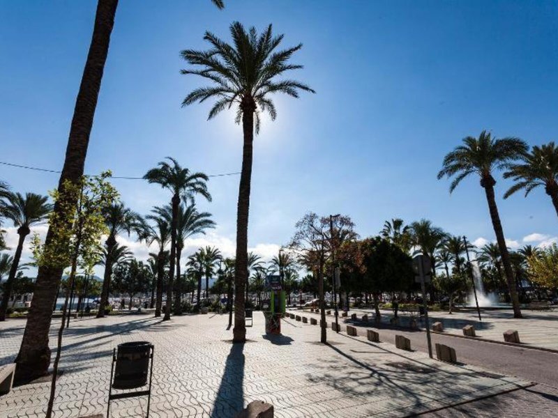 Tramuntana Apartments 6