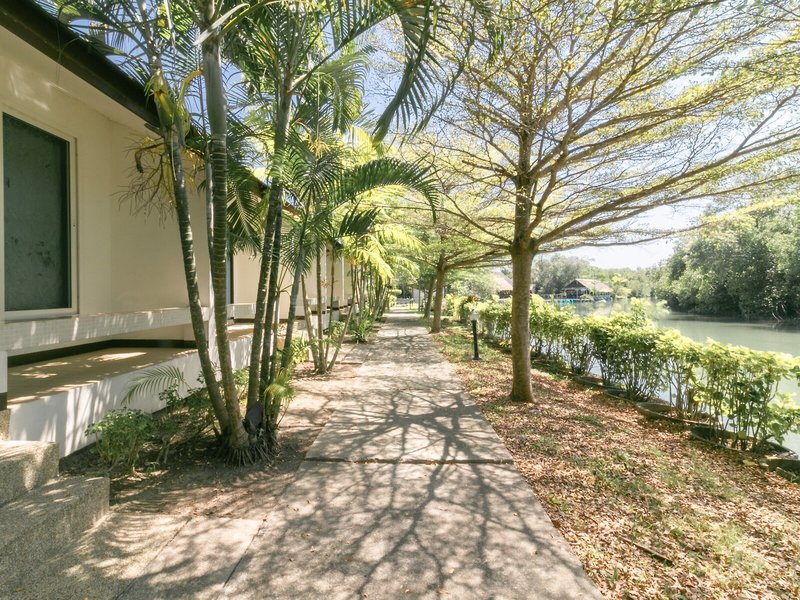 Chaiyo Resort 38