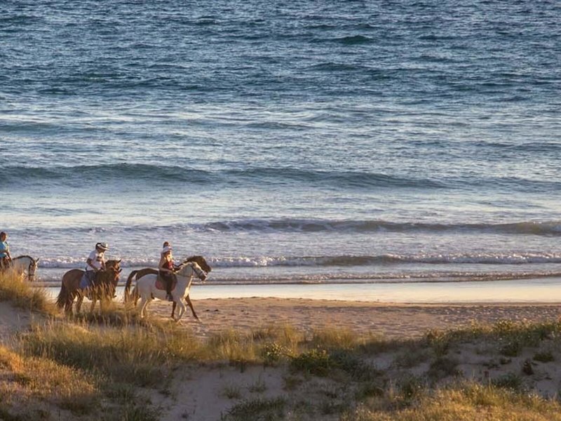 Hotel Zahara Beach & Spa 13