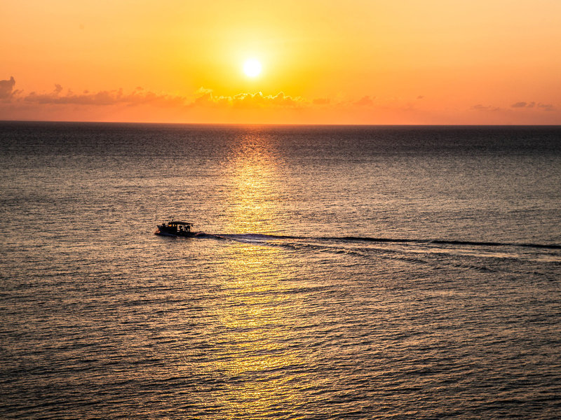 Studios Blue Waves 5