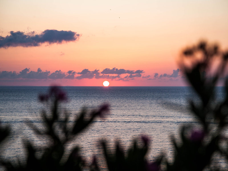 Studios Blue Waves 8