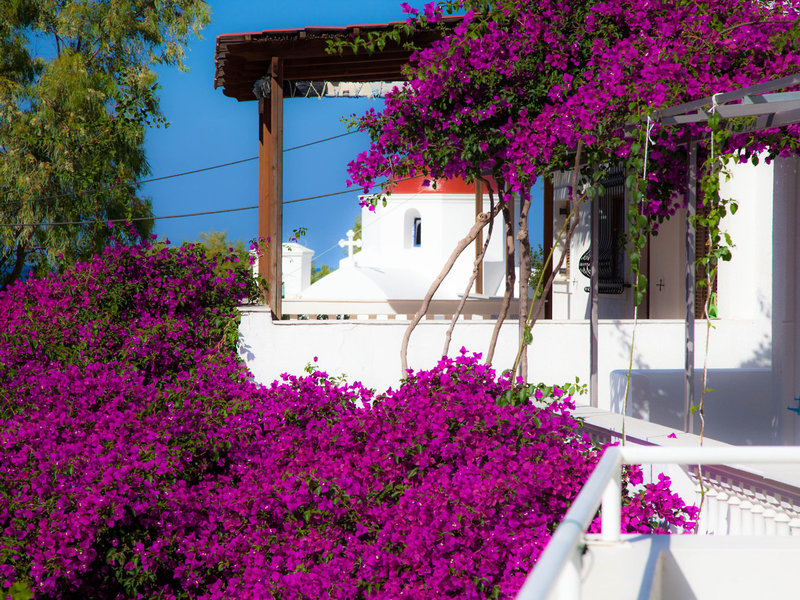 Studios Blue Waves 13