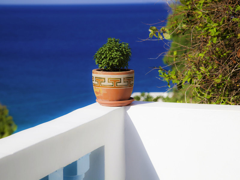 Studios Blue Waves 14