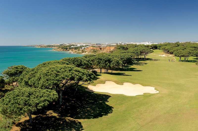 Pine Cliffs Gardens 33