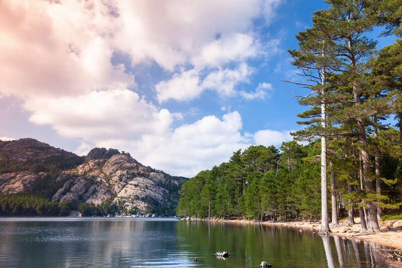 La Solenzara 22 - Landscape