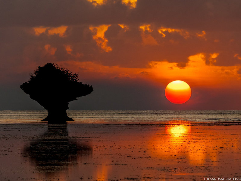 The Sands at Chale Island 7
