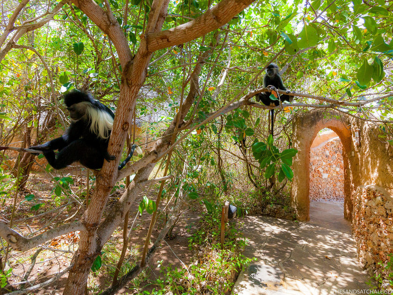The Sands at Chale Island 13