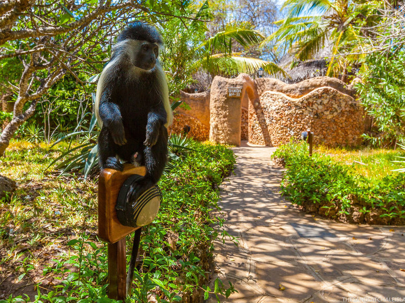 The Sands at Chale Island 14