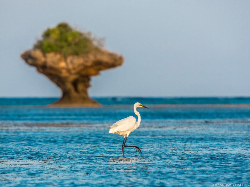 The Sands at Chale Island 18