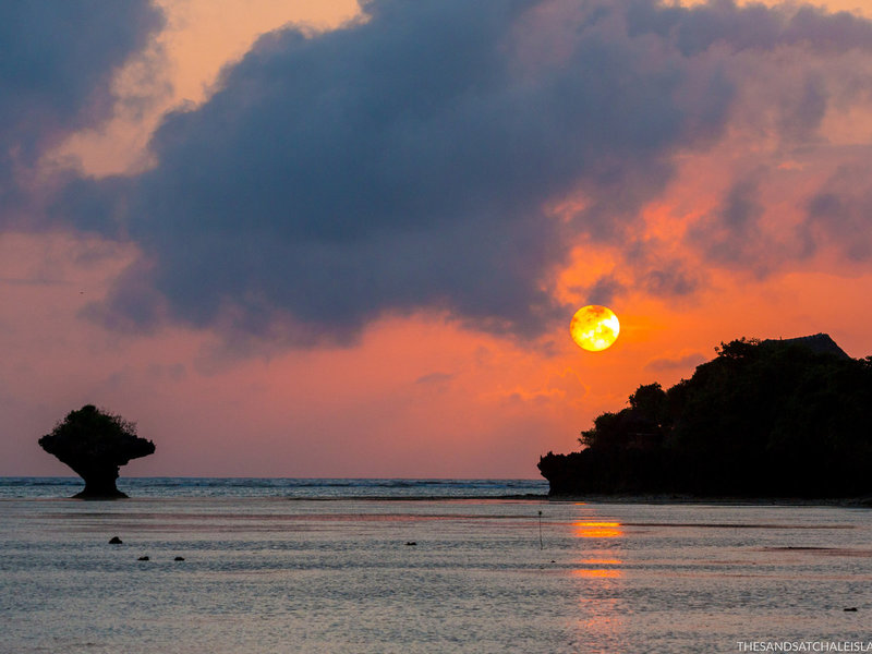 The Sands at Chale Island 21