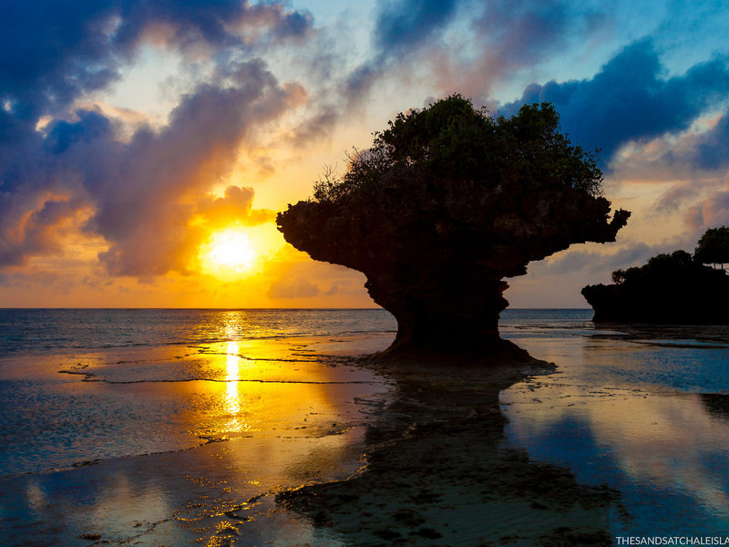 The Sands at Chale Island 22