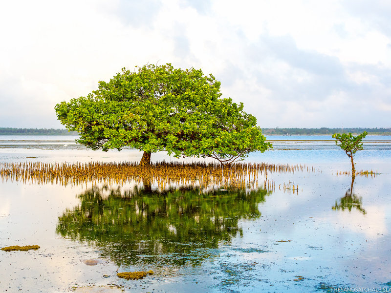 The Sands at Chale Island 23