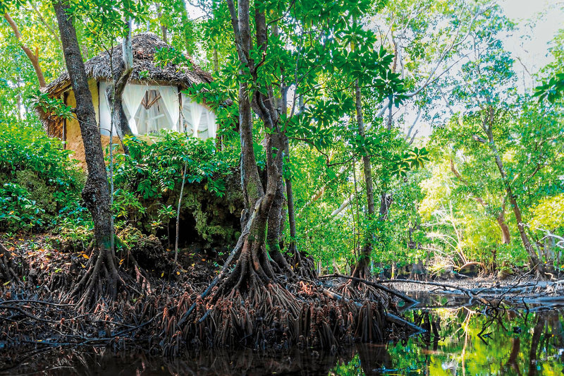 The Sands at Chale Island 19