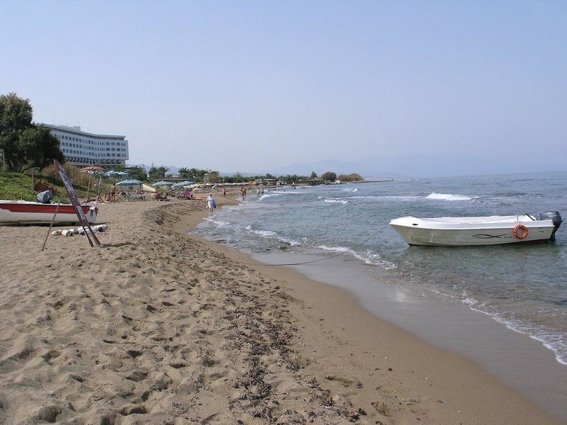 Oasis 8