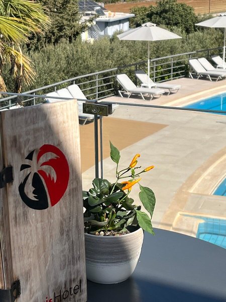Oasis 35