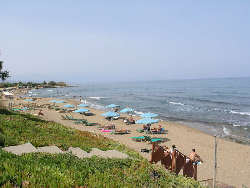 Oasis Hotel 4