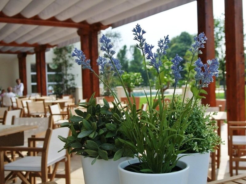 Terme di Relilax Boutique Hotel & Spa 26
