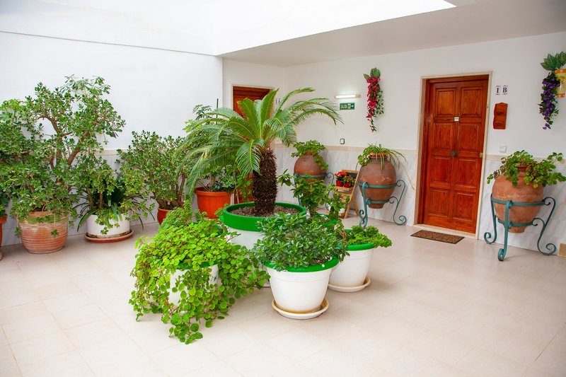 Atalaya Bosque 6