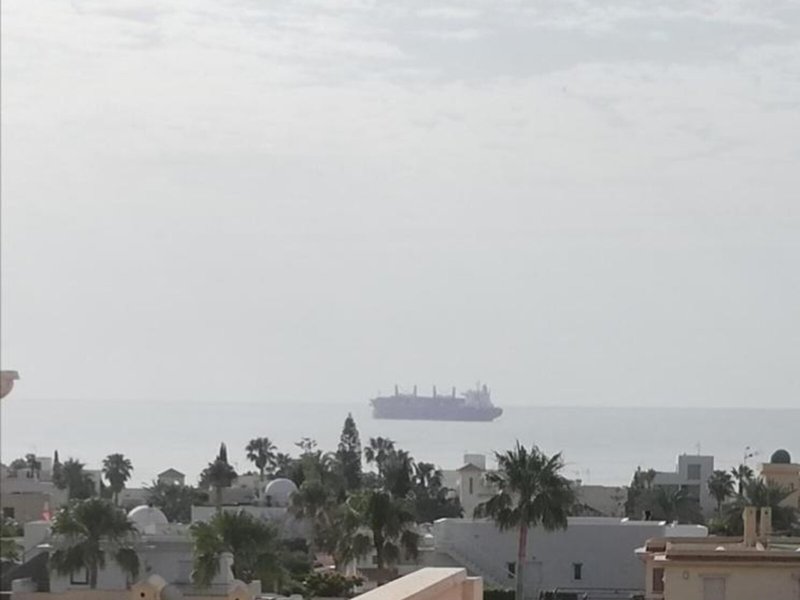 Marina Rey 6