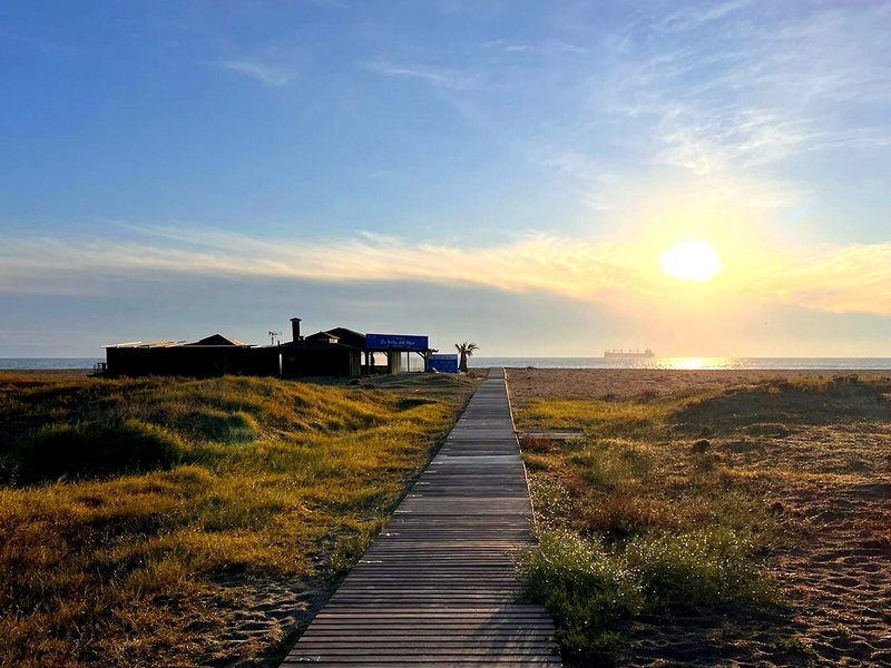 Marina Rey 7