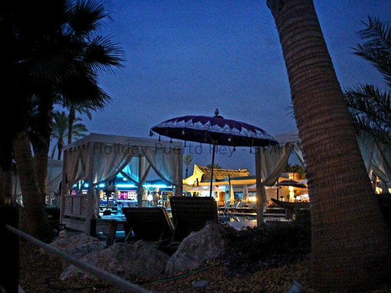 Marina Rey 8