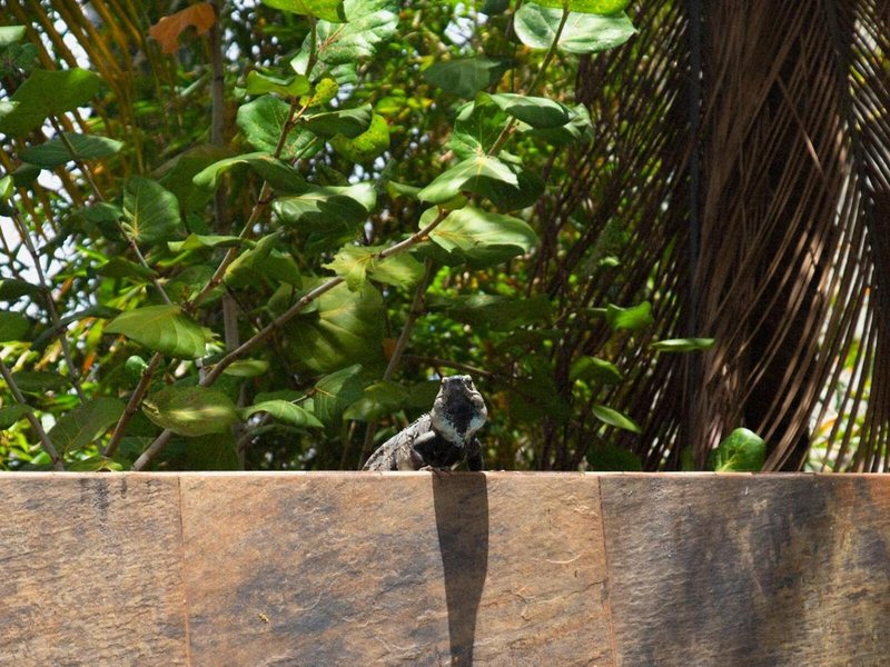 Hotel Nina & Beach Club  6