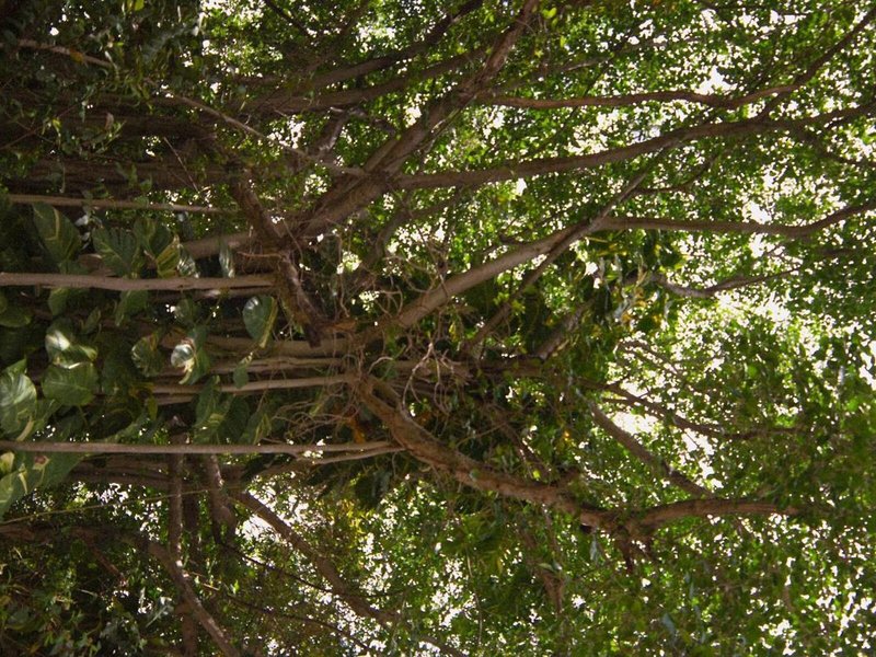 Hotel Nina & Beach Club  7