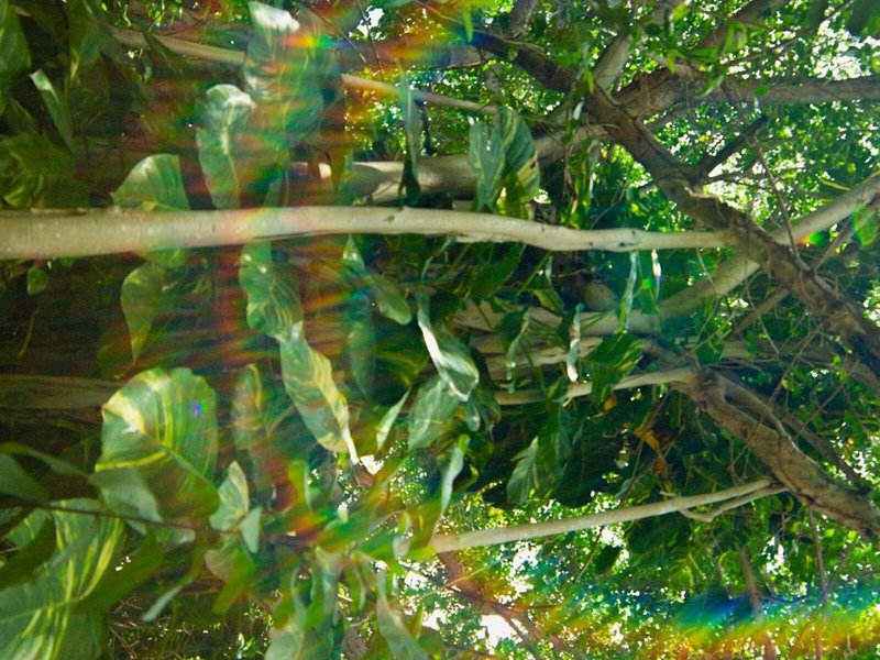 Hotel Nina & Beach Club  8