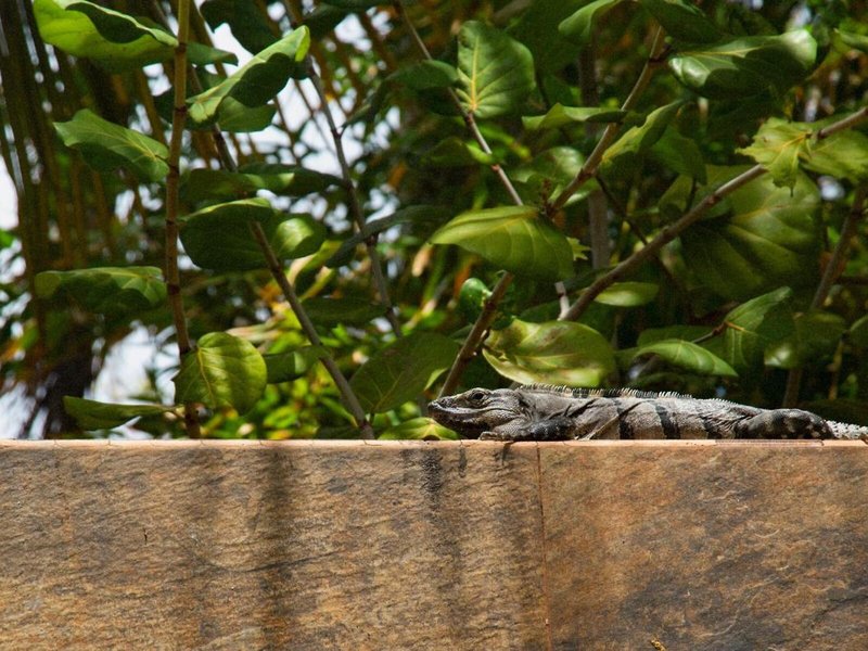 Hotel Nina & Beach Club  10