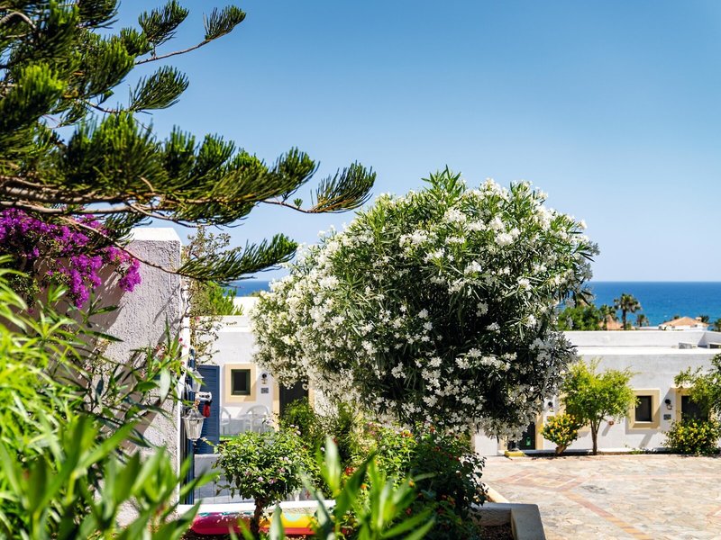 Chrissi Amoudia Hotel 1