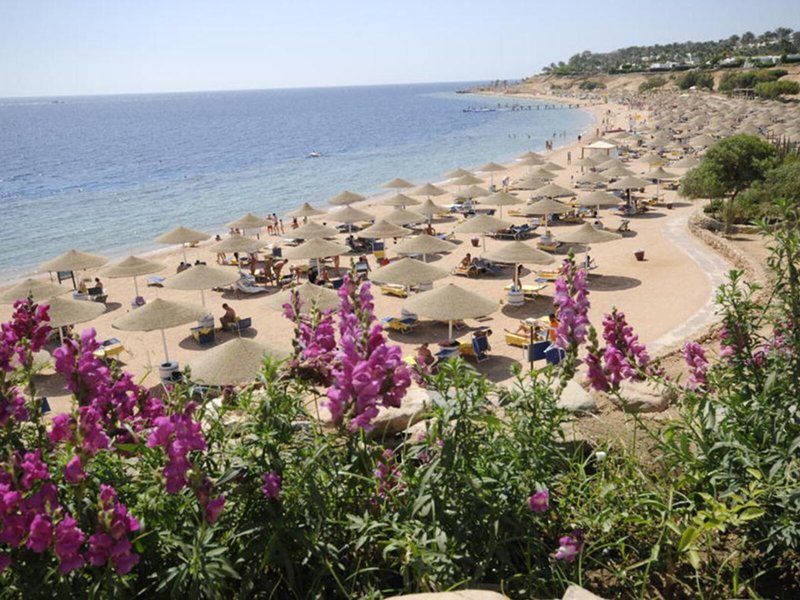 Domina Coral Bay Aquamarine 3