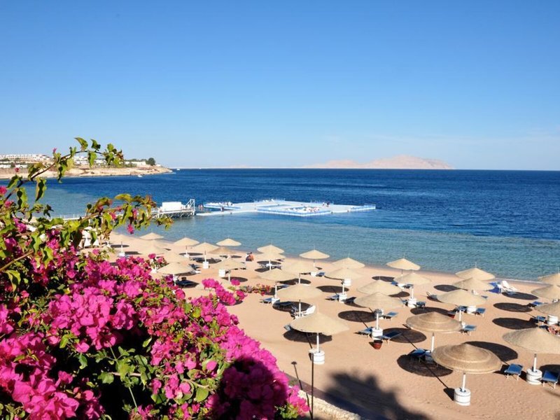 Domina Coral Bay Aquamarine 5