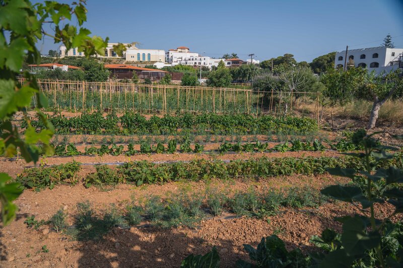 Creta Maris Beach Resort 31