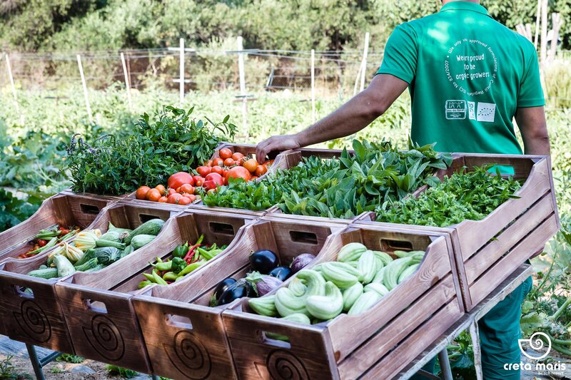 Creta Maris Beach Resort 32