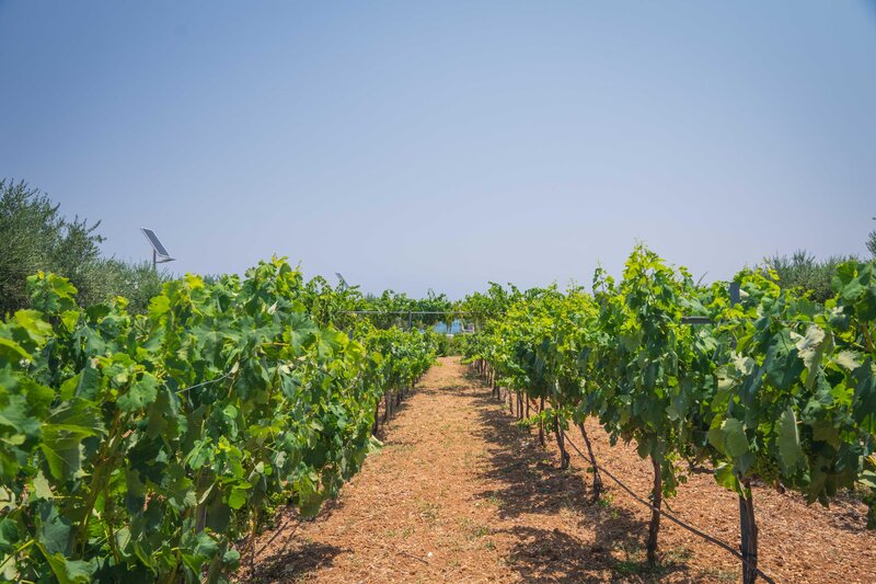 Creta Maris Beach Resort 39