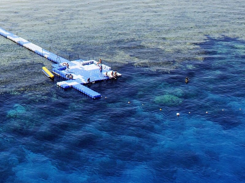 Baron Palms Resort 6 - Landscape