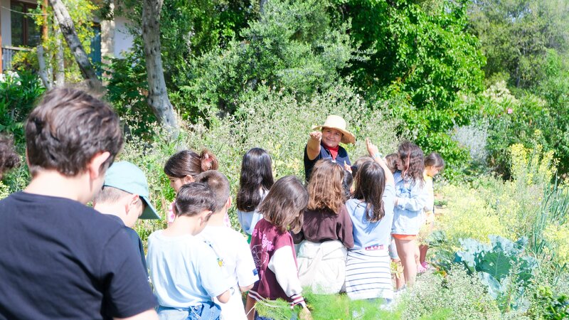 Club Resort Atlantis 56