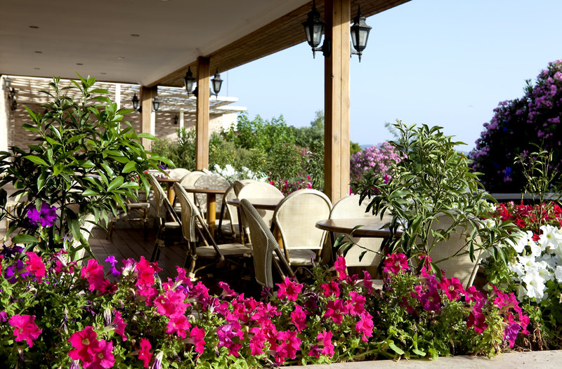 Club Resort Atlantis 124