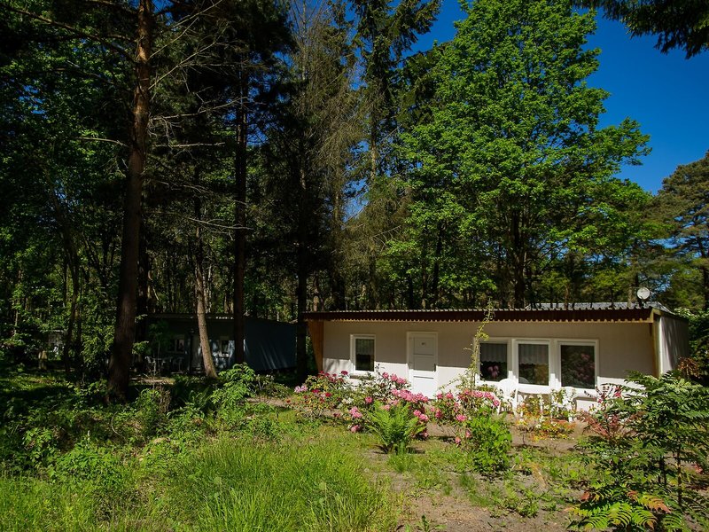 Feriendorf Min Herzing