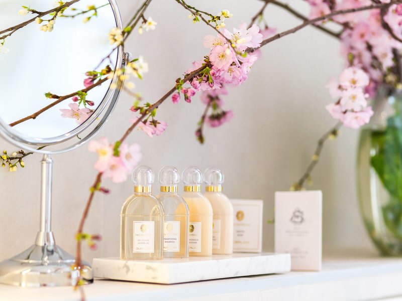 Hotel Alfred Sommier 45