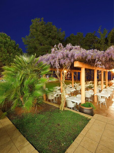 Hotel Sol Aurora for Plava Laguna 4