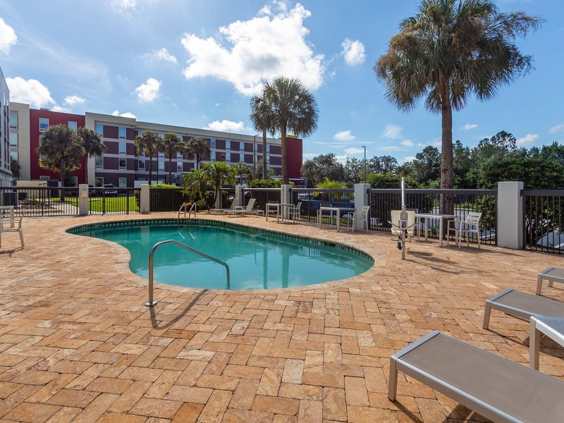 Holiday Inn Tampa North, an IHG Hotel 6