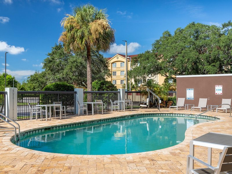 Holiday Inn Tampa North, an IHG Hotel 7
